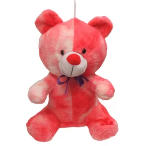 Rangila Teddy